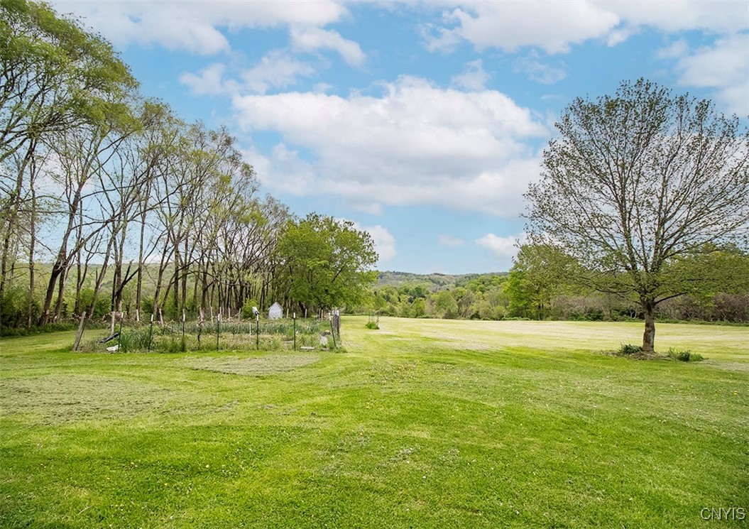 4868 Lincklaen Road, Cazenovia, New York image 34