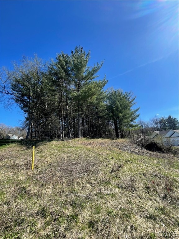 4637 Lot 15 Pauli Drive, Manlius, New York image 10