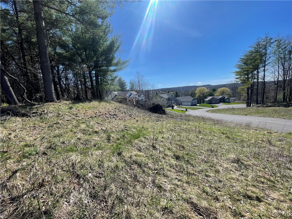 4637 Lot 15 Pauli Drive, Manlius, New York image 9