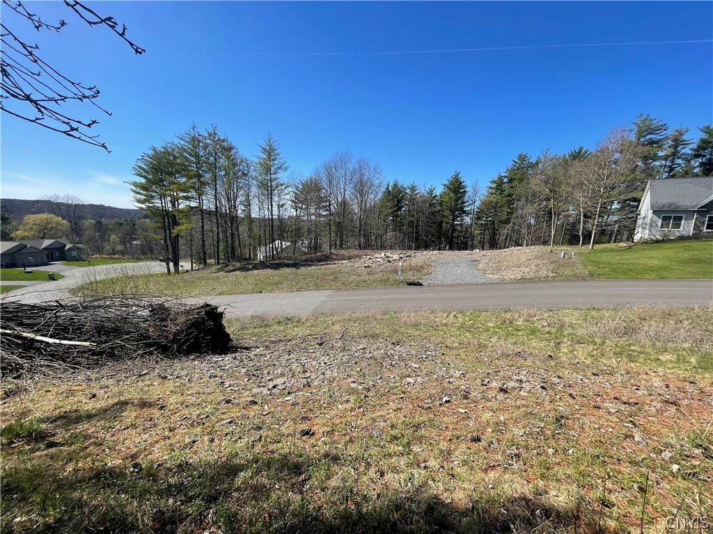 4637 Lot 15 Pauli Drive, Manlius, New York image 8