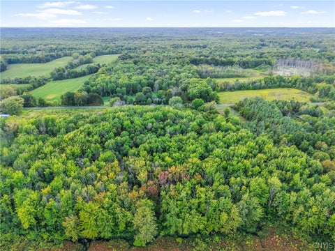 Tiny photo for 12956 Timerson Rd RD, Victory, NY 13143 (MLS # S1716021)