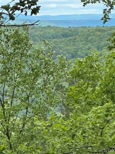 Vacant Land For Sale - 1501 Old State Road<br/> Colesville, NY 13904