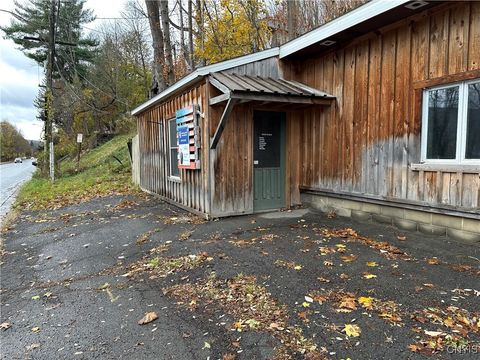 Tiny photo for 128 Chestnut Street, Oneonta, NY 13820 (MLS # S1648560)