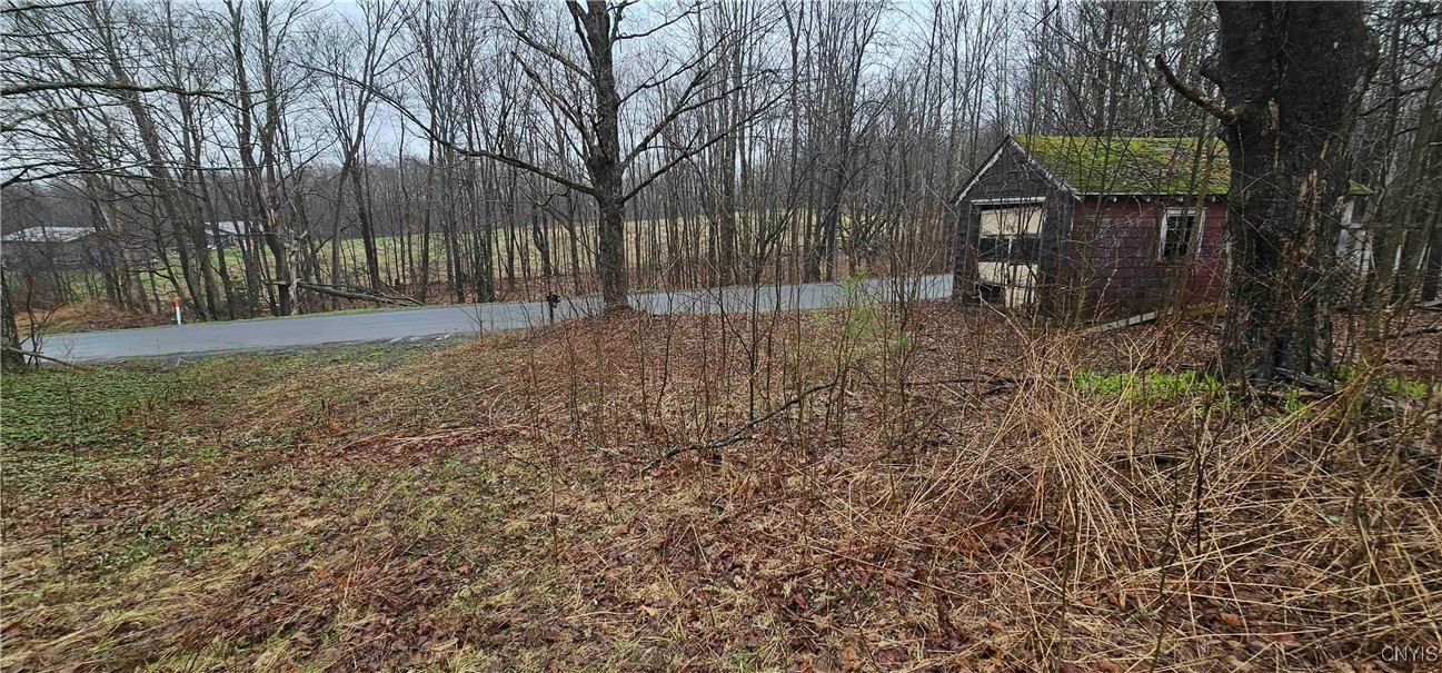 1358 Conrad Road, Marathon, New York image 13