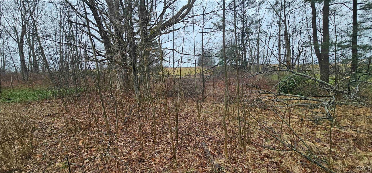 1358 Conrad Road, Marathon, New York image 12