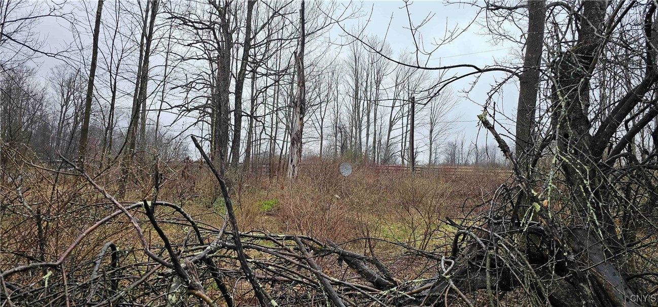 1358 Conrad Road, Marathon, New York image 14