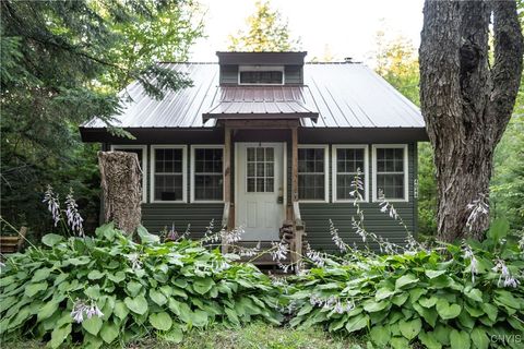 4044 Norton Road, Forestport, NY 13338 - #: S1624644