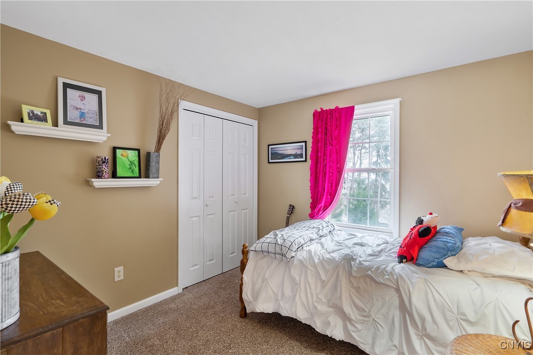 108 Topaz Trl, Camillus, New York image 21