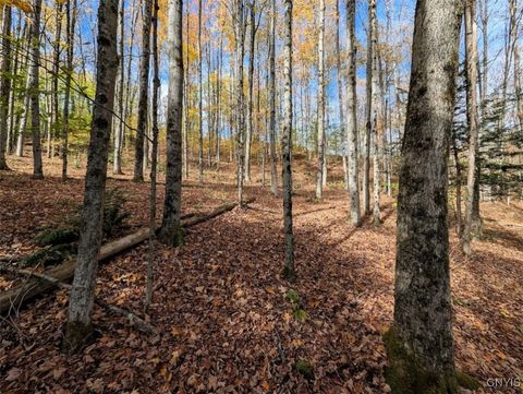 Vacant Land For Sale - Akins Road<br/> Cohocton, NY 14826