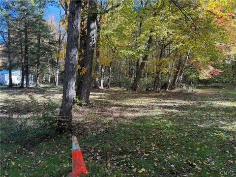 Tiny photo for lot 17 22nd, Vienna, NY 13157 (MLS # S1723829)