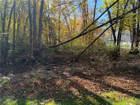 Tiny photo for lot 17 22nd, Vienna, NY 13157 (MLS # S1723829)