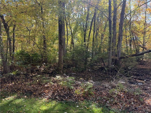 Tiny photo for lot 17 22nd, Vienna, NY 13157 (MLS # S1723829)