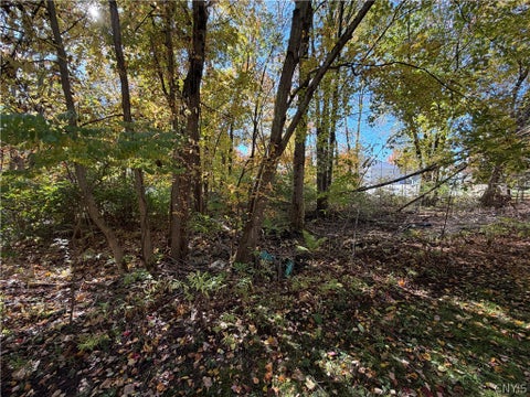 Photo of lot 17 22nd, Vienna, NY 13157 (MLS # S1723829)