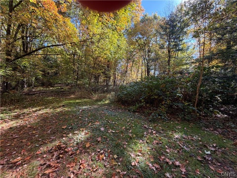 Tiny photo for lot 17 22nd, Vienna, NY 13157 (MLS # S1723829)