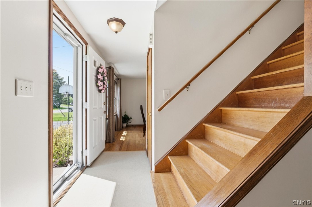 41 Elm Hill