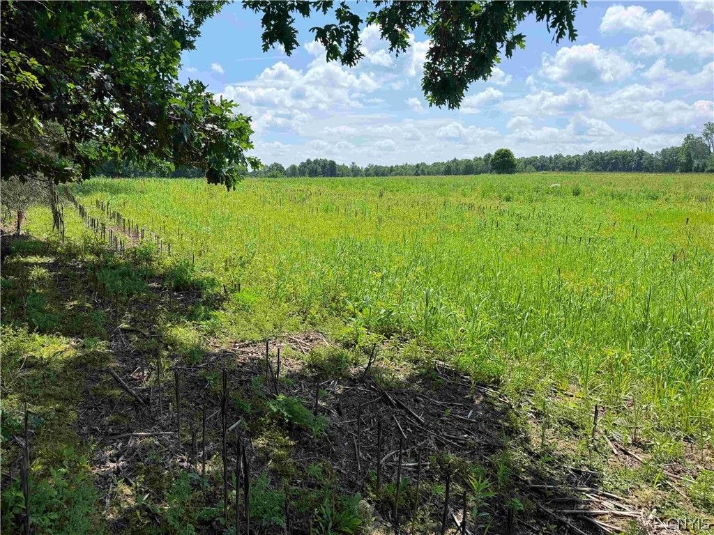 Photo of Cr-17, Belfast, NY 14711 (MLS # S1701515)