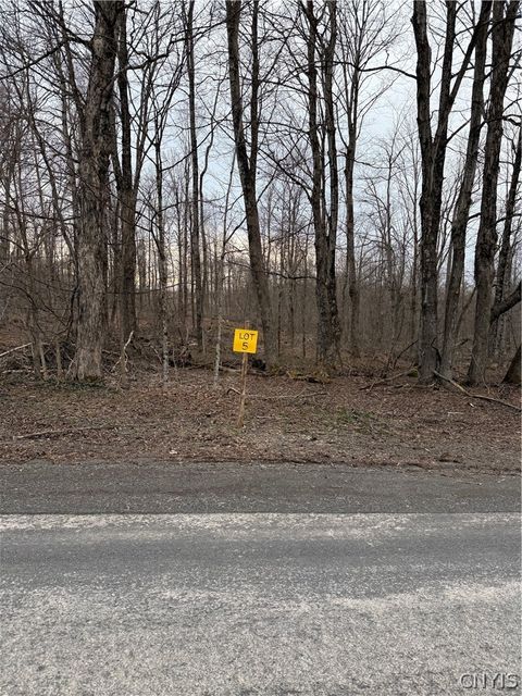 00 Skinner Lot 4 Road Richfield Springs NY 13439