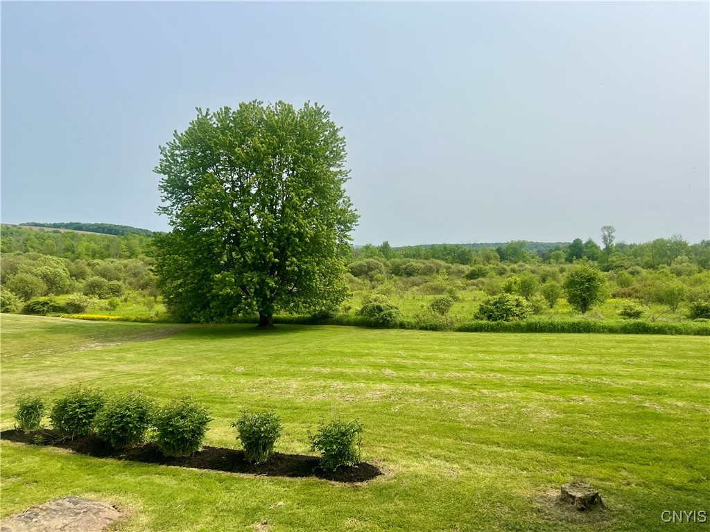 464 Foster Moore Road, Homer, New York image 30