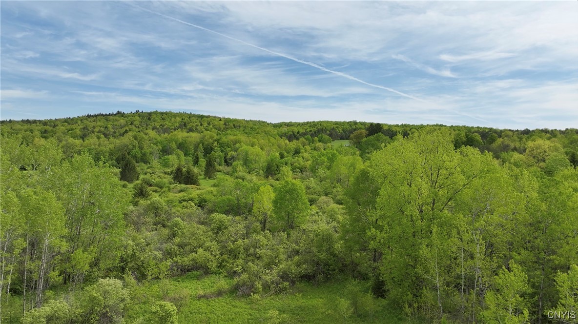 11A County Rd 16, Smyrna, New York image 3