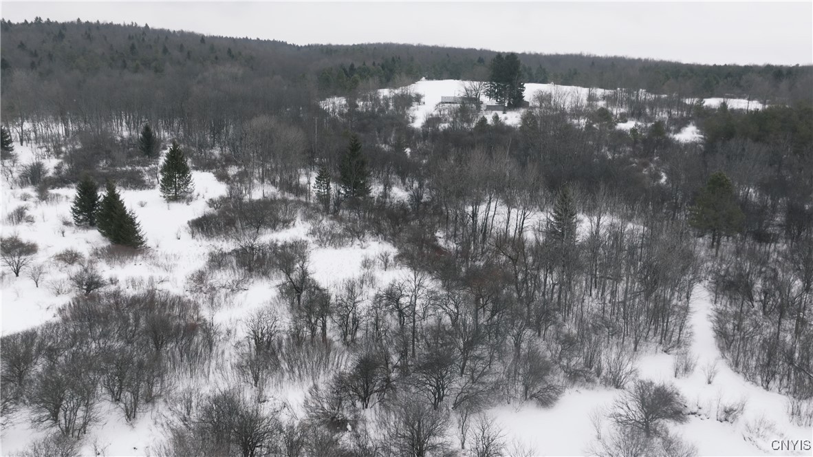 11A County Rd 16, Smyrna, New York image 6