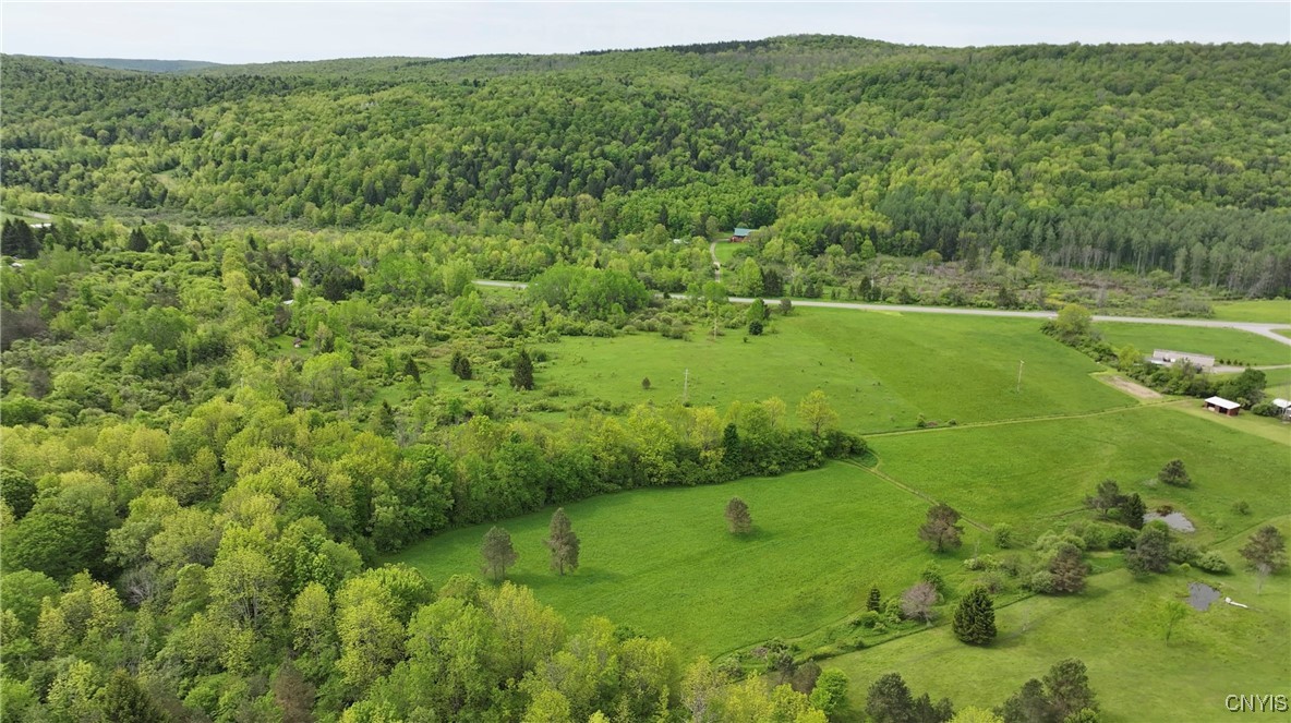 11A County Rd 16, Smyrna, New York image 6