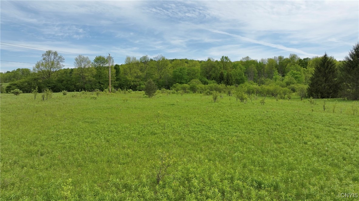 11A County Rd 16, Smyrna, New York image 9