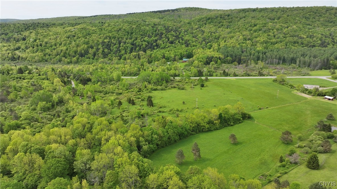 11A County Rd 16, Smyrna, New York image 5