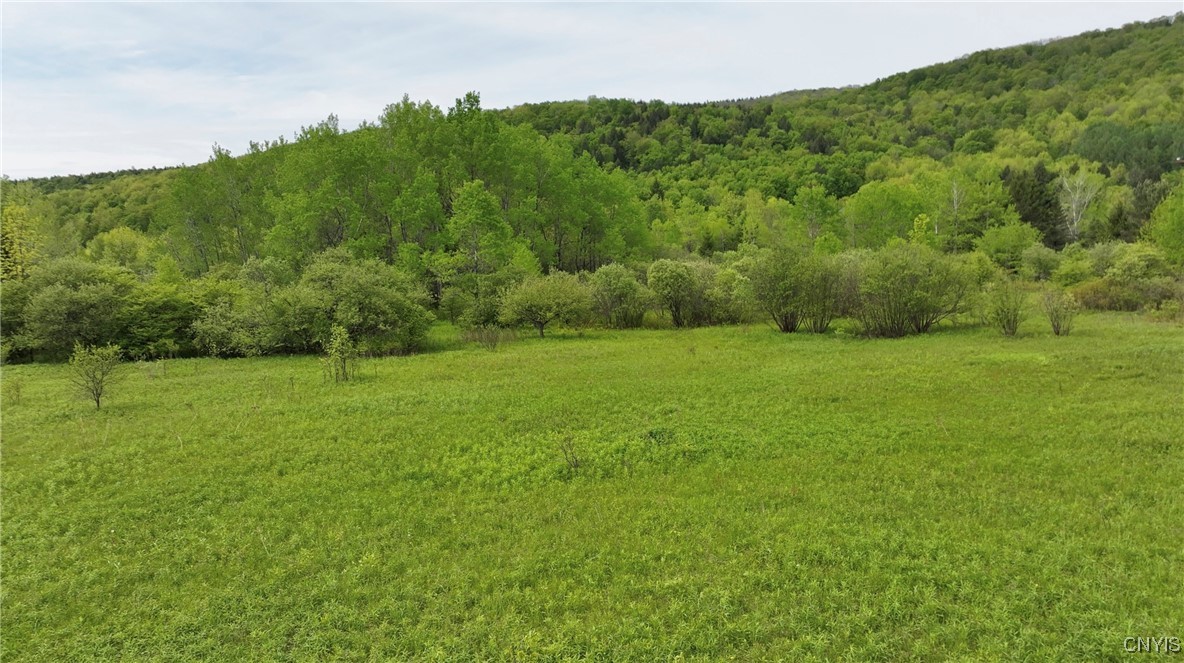 11A County Rd 16, Smyrna, New York image 8