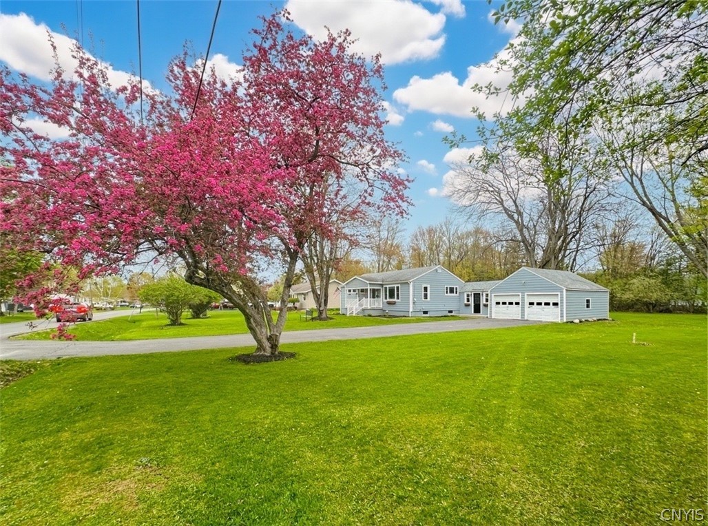 16 Homestead Road E