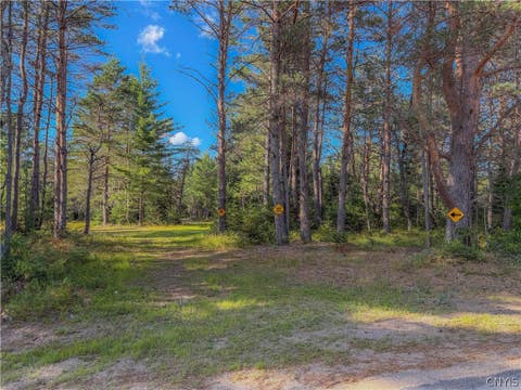 Tiny photo for 11023 Pit Four Road, Forestport, NY 13338 (MLS # S1701650)