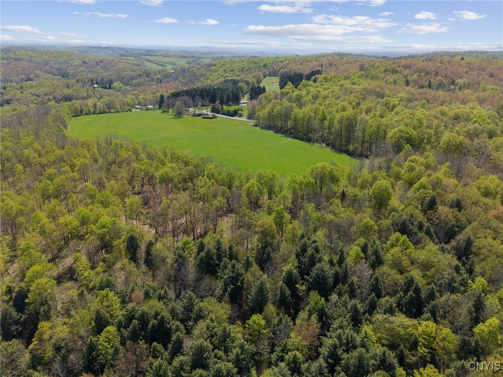 283 Cunningham Lawrence Road, Sherburne, New York image 9