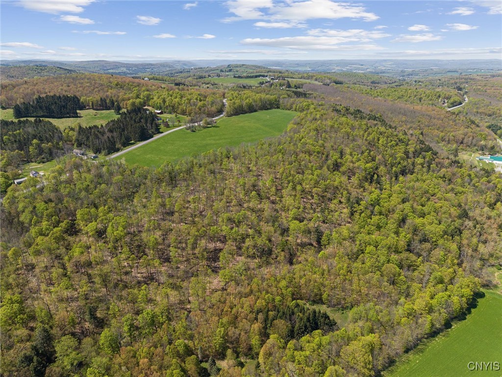 283 Cunningham Lawrence Road, Sherburne, New York image 6