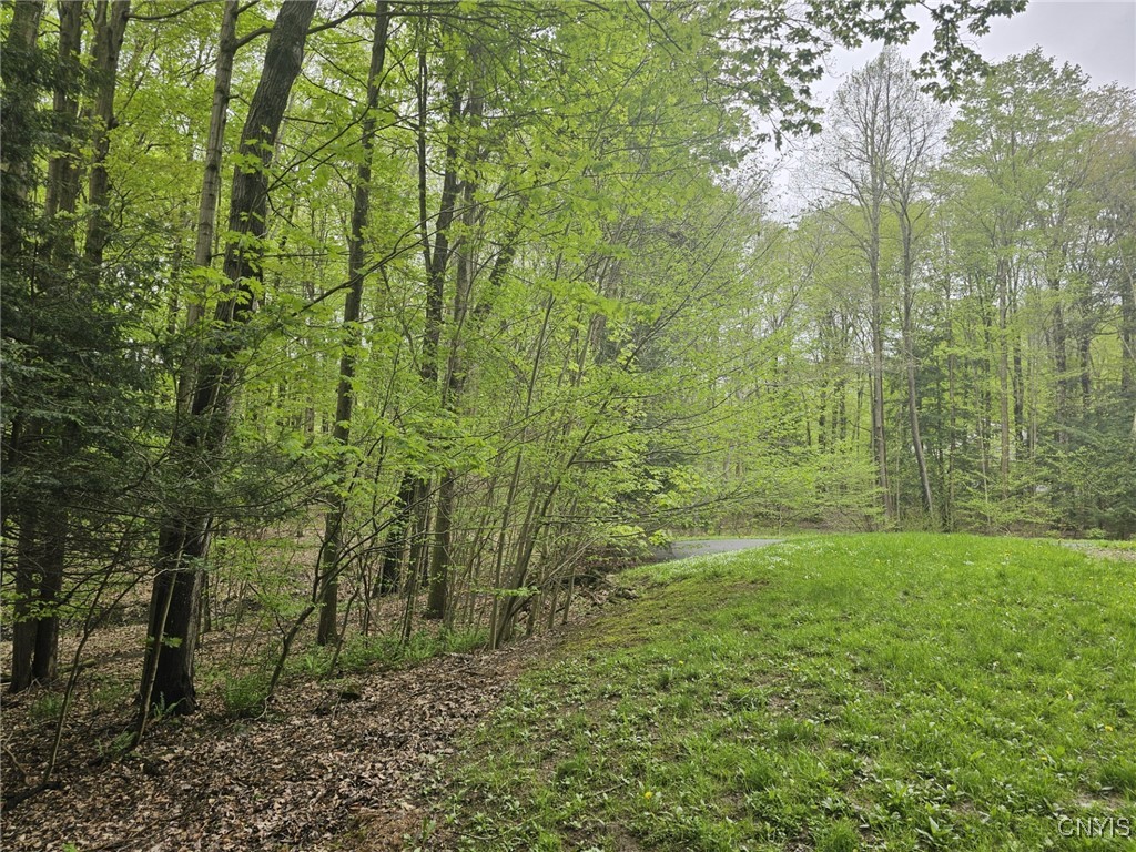 5798 Sandbank Road, Elbridge, New York image 8