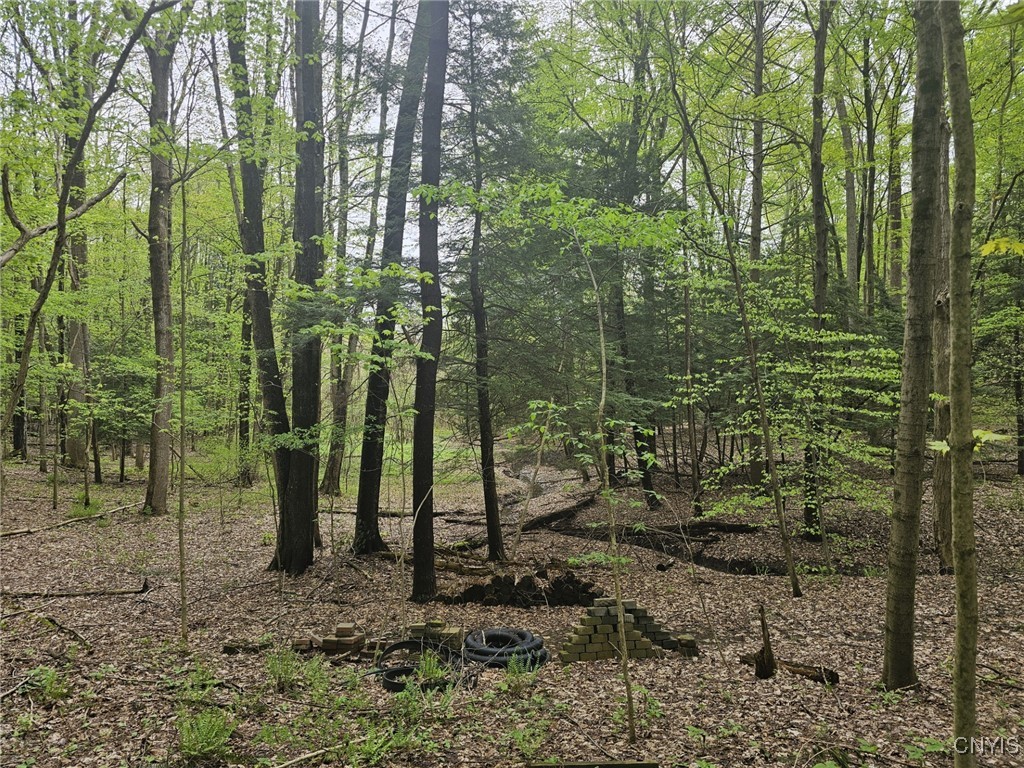 5798 Sandbank Road, Elbridge, New York image 38