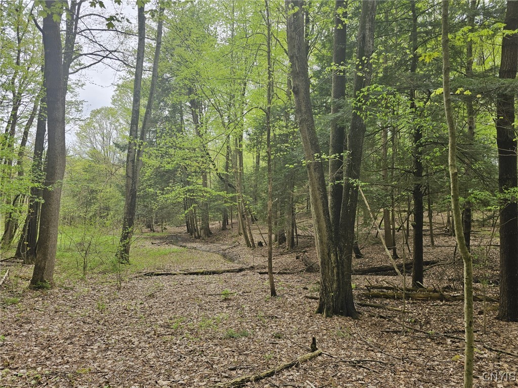 5798 Sandbank Road, Elbridge, New York image 15