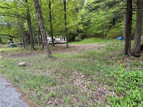 Vacant Land For Sale - 13020 Ny Rt-28<br/> Forestport, NY 13338