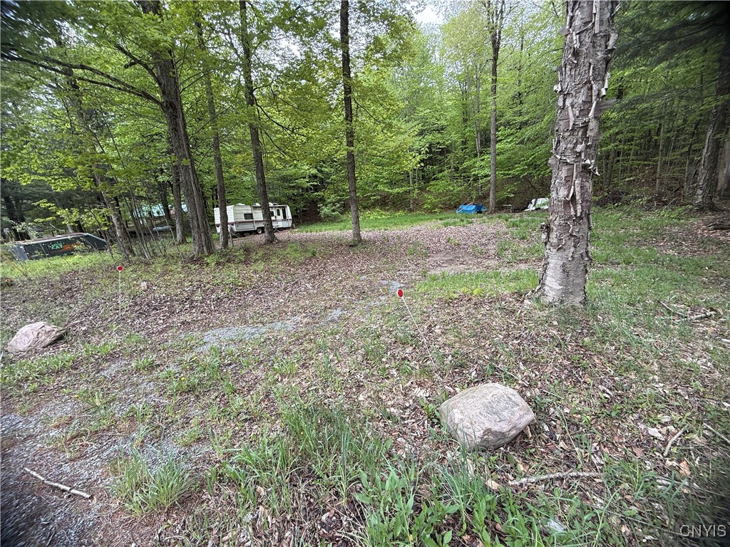 13020 Ny Rt-28, Forestport, New York image 2