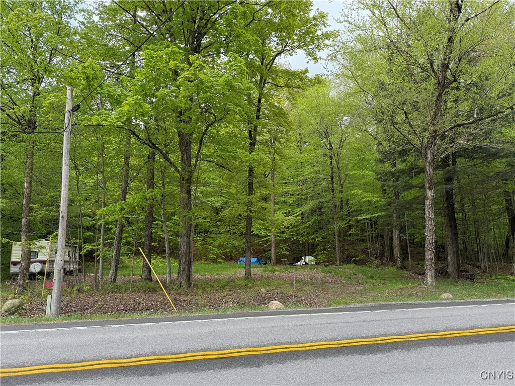 13020 Ny Rt-28, Forestport, New York image 9