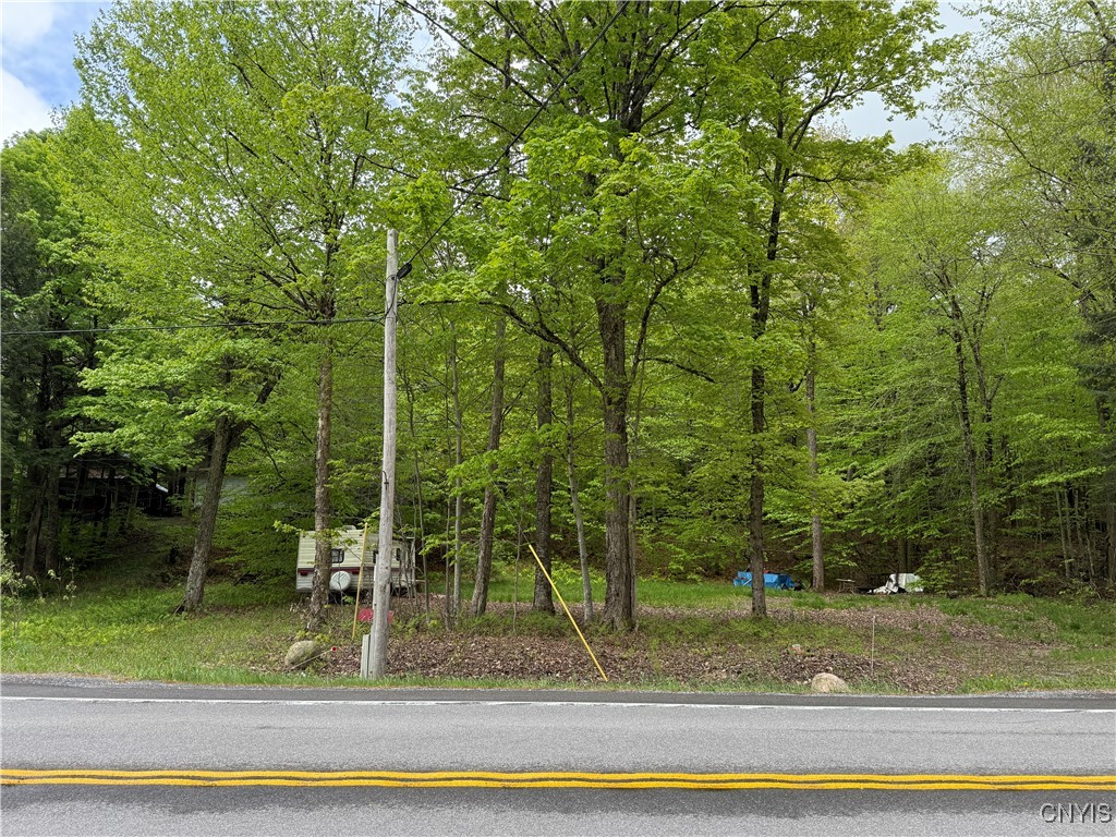 13020 Ny Rt-28, Forestport, New York image 10