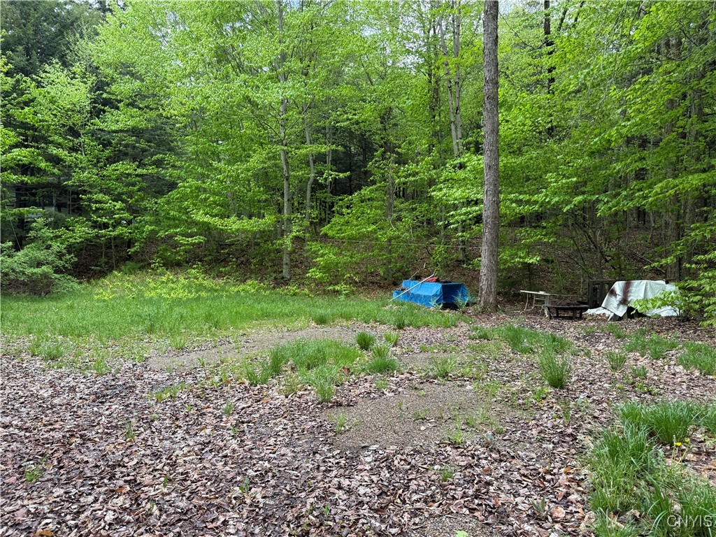 13020 Ny Rt-28, Forestport, New York image 7