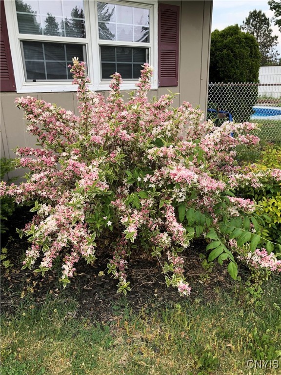 Lysander, New York 13027, United States, 3 Bedrooms Bedrooms, ,2 BathroomsBathrooms,Residential,Active,7032