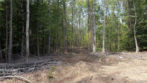 Vacant Land For Sale - 10133 Penfield Road<br/> Camden, NY 13316