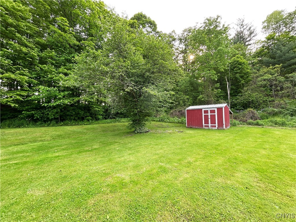 10175 State Route 79, Lisle, New York image 7