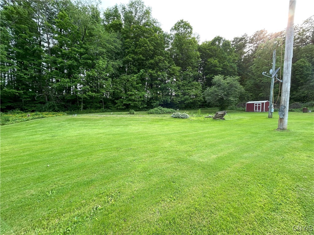10175 State Route 79, Lisle, New York image 5