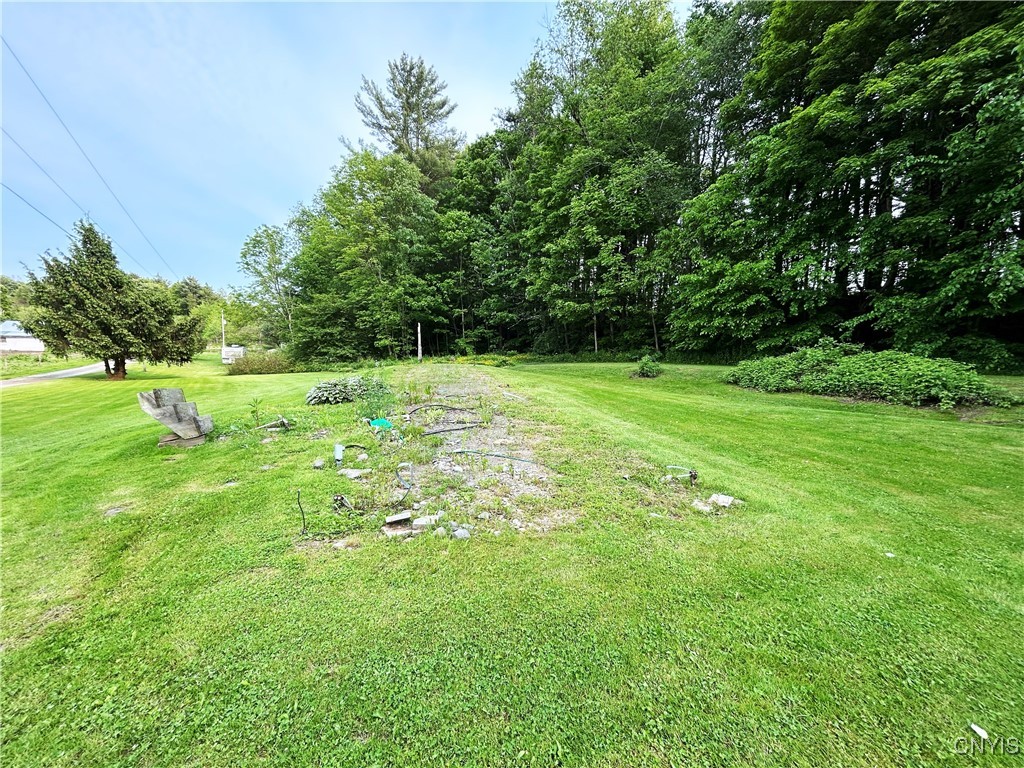 10175 State Route 79, Lisle, New York image 6