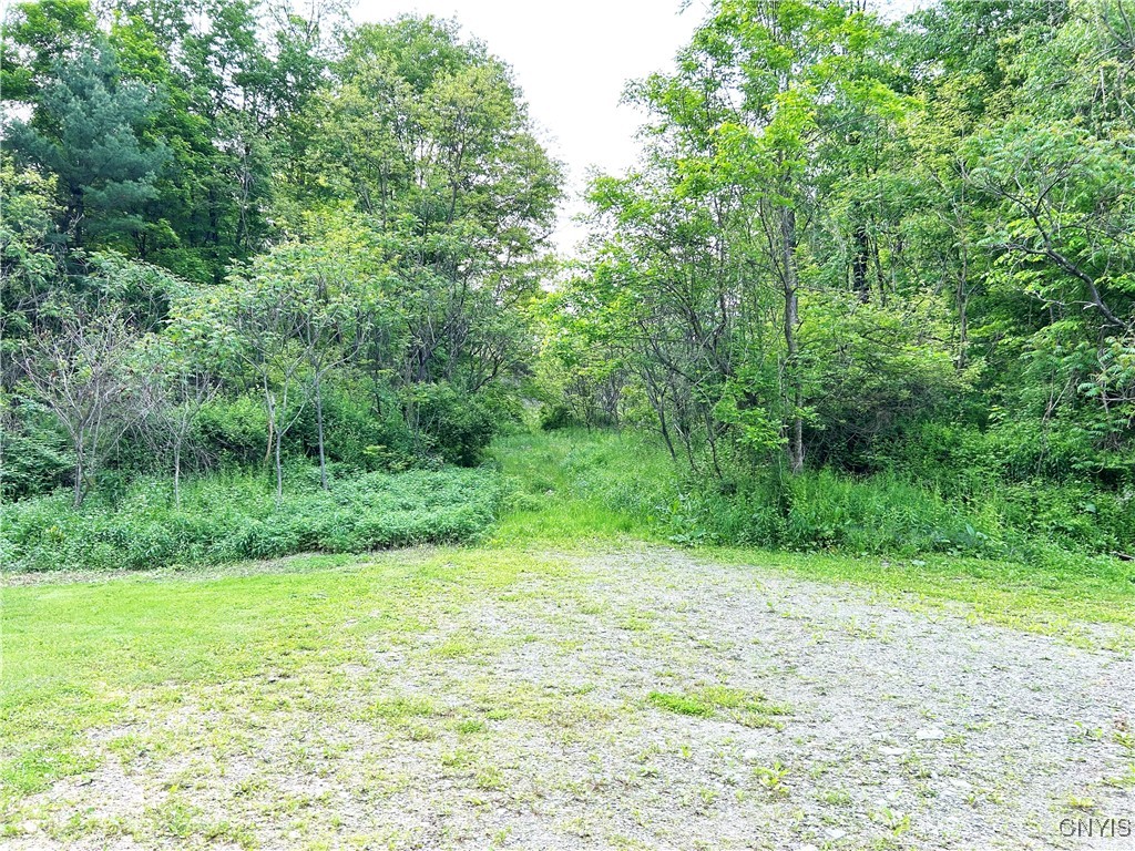 10175 State Route 79, Lisle, New York image 8