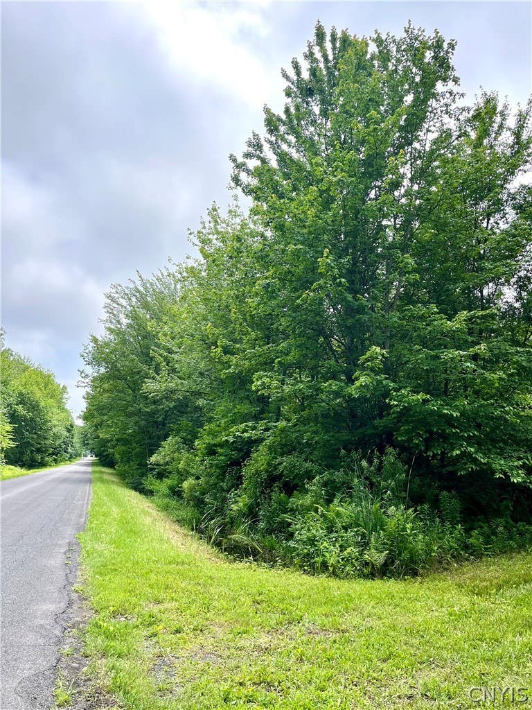 Photo of 13657 Mc Gibbon Road, Sterling, NY 13156 (MLS # S1694348)