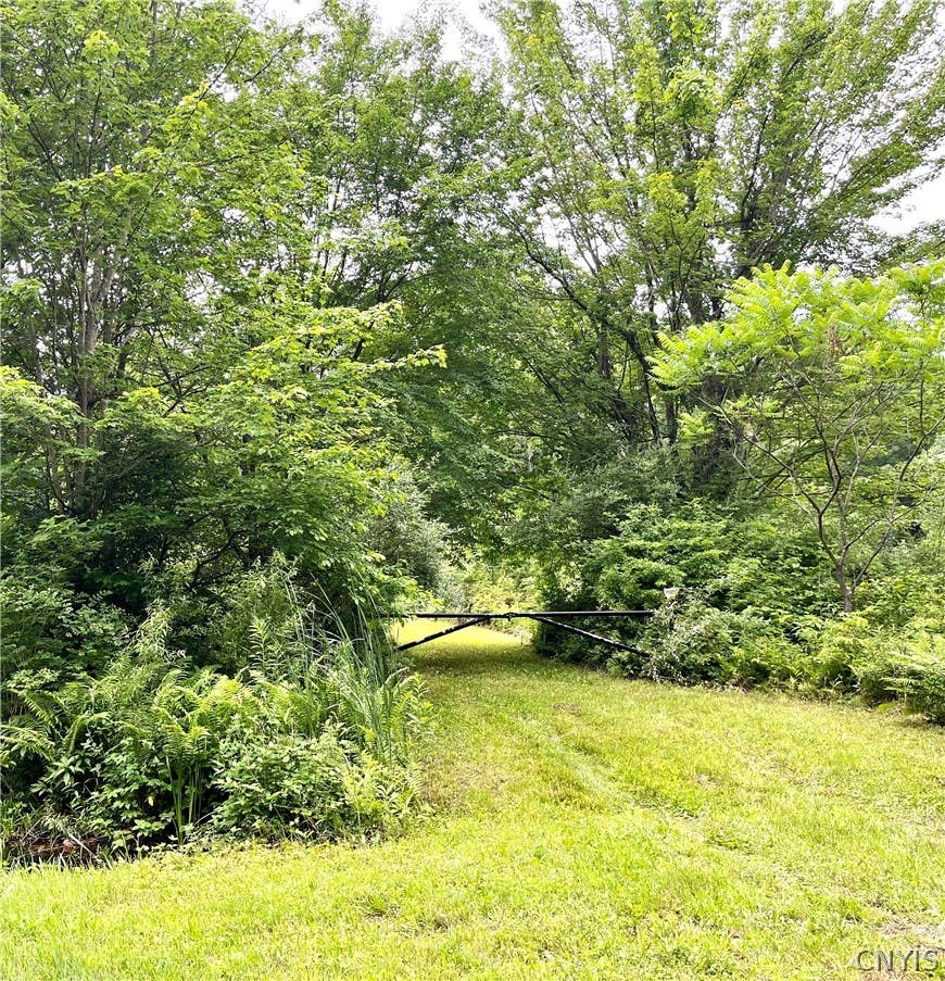 Photo of 13657 Mc Gibbon Road, Sterling, NY 13156 (MLS # S1694348)