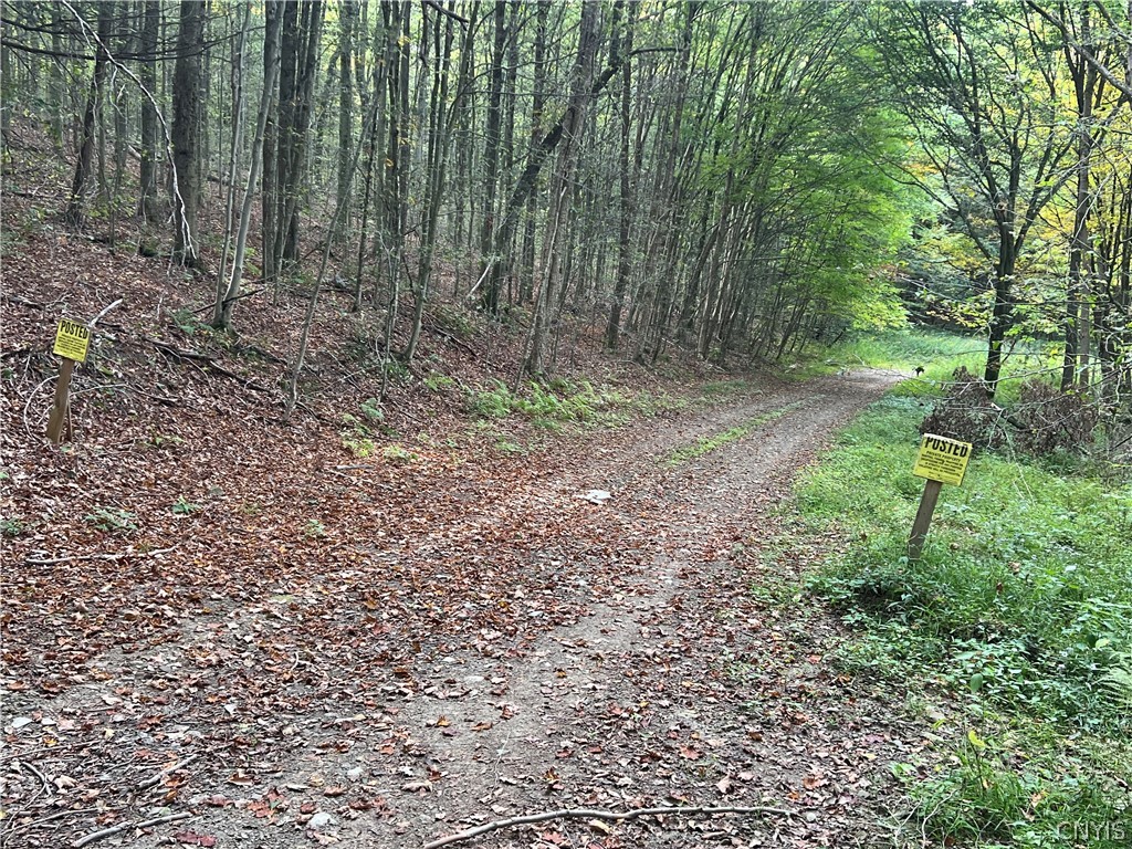 Stramba Road