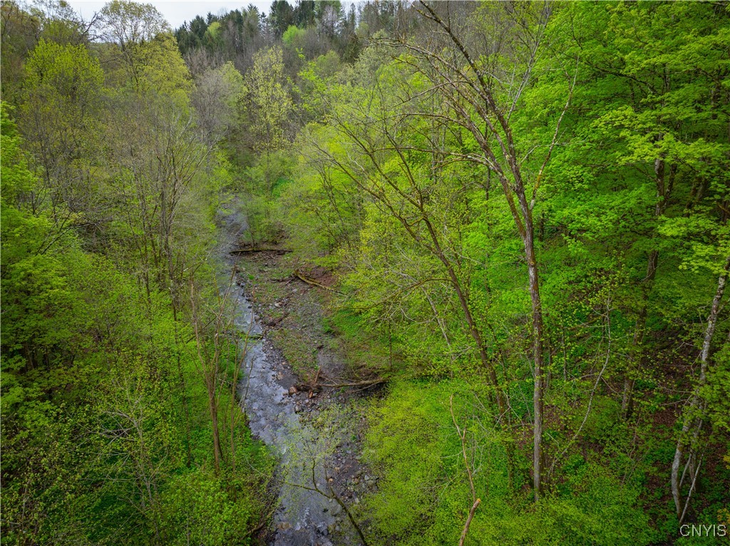 3883 State Route 28, Herkimer, New York image 43